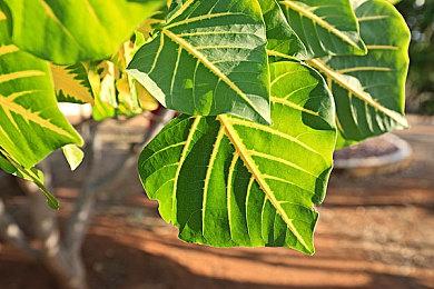 索尼战略转型：瞄准IP收购 欲打造“娱乐综合商社”