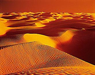 任天堂、卡普空、世嘉、SE等多家日本公司股价下跌